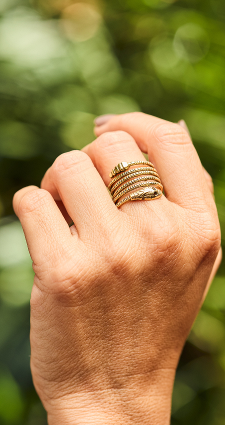 Anillo Cascabel